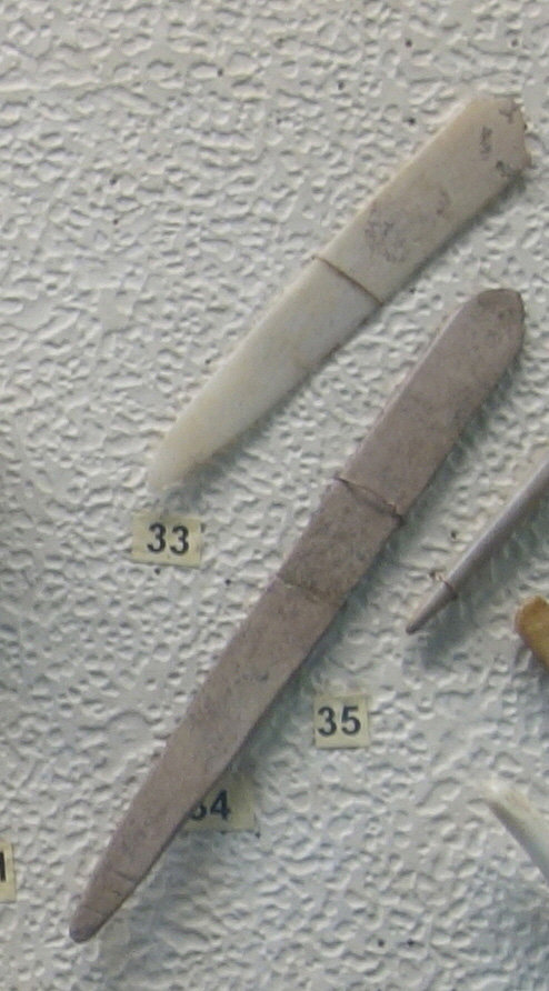 발해 지역에서 발견된 인삼 등의 약초를 캐는 도구. 뼈로 만들어져 있다. 러시아 극동과학원 박물관 소장. 강인욱 교수 촬영
