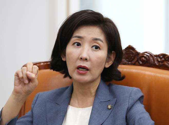 나경원 전 국민의힘 원내대표