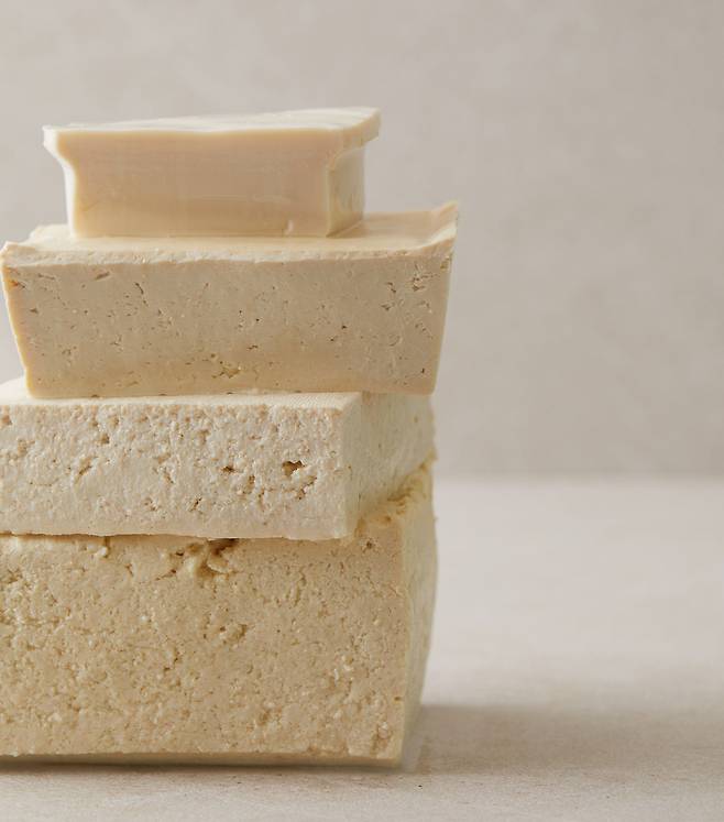 두부를 주제로 한 책 '요즘X두부'에 소개된 다양한 두부의 모습. 아랫쪽부터 위로 올라갈수록 부드럽다. /수작걸다