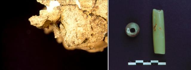 연대도 2호 무덤 인골에서 발견된 외이도골종(왼쪽)과 2호·7호 무덤에서 발굴된 옥. 임학종 관장 제공