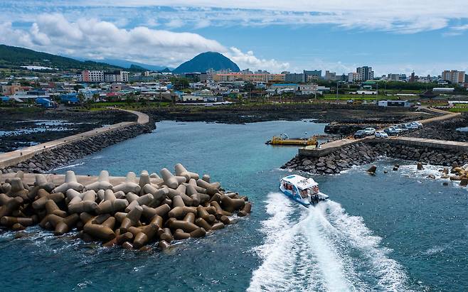 제주도 야생 돌고래 탐사선. 서귀포 대정읍 동일리포구에서 출발해 50분간 연안을 누비며 돌고래를 관측한다. 사진 디스커버제주