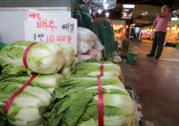 세일해야 만원  - 농산물 가격 급등세가 이어지는 4일 서울 마포농수산물 시장에 쌓인 배추 위로 한 단을 1만원에 판매한다는 안내문이 세워져 있다. 한국농촌경제연구원에 따르면 출하량 감소 영향으로 이달 배추 도매가격이 1년 전보다 121.8% 상승한 것으로 나타났다. 뉴시스