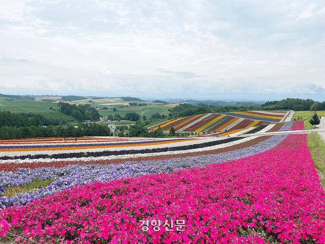 팜 도미타와 ‘양대 꽃밭’으로 꼽히는 시키사이노오카