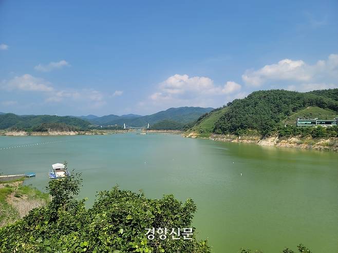 경북 영주시 평은면에 위치한 영주댐 일대에 6일 녹조가 발생해 짙은 녹색 빛을 띠고 있다. 김현수 기자