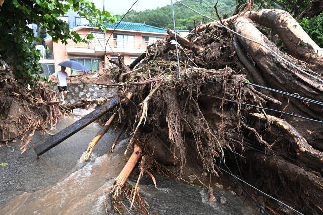 수도권 등 중부지방에 내린 집중호우로 피해가 잇따르고 있는 9일 오후 경기도 광주시 검복리 마을이 산사태로 휩쓸려 내려온 토사와 나무 등으로 뒤엉켜 있다. 연합뉴스.