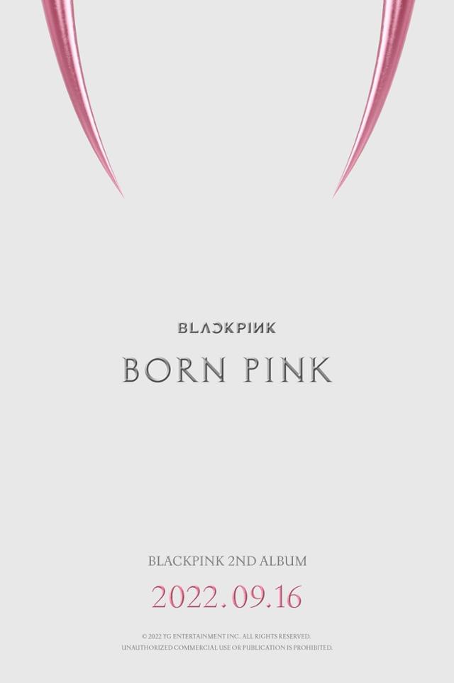 YG엔터테인먼트는 10일 공식 블로그에 블랙핑크의 정규 2집 '본 핑크' 티저 이미지를 게재했다. YG엔터테인먼트 제공