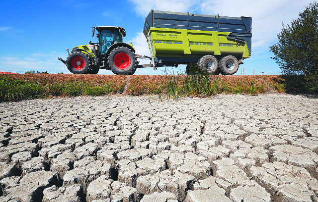 프랑스 서부 지역의 한 농장이 8일(현지시간) 극심한 가뭄으로 쩍쩍 갈라져 있다. 로이터연합뉴스