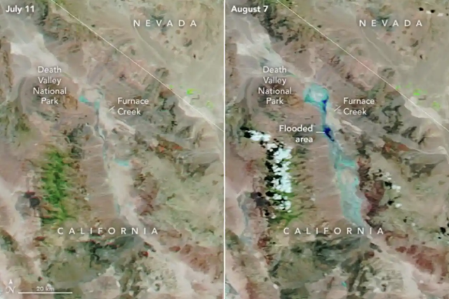 미국 항공우주국(NASA·나사) 지구관측체계(EOSDIS)가 제공하는 미 데스밸리의 위성사진이다. 폭우가 내리기 전인 지난달 11일 모습(왼쪽)과 폭우가 쏟아진 다음 날(오른쪽) 모습이 대비된다. 홍수로 인해 데스밸리가 마치 호수처럼 파랗게 물들어 있다. Nasa Earth Observatory 홈페이지 캡처