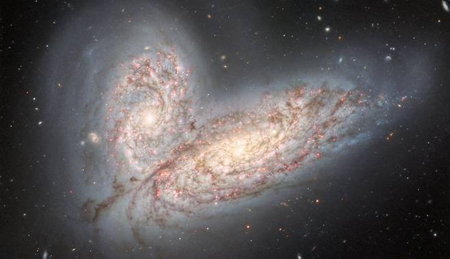 제미니노스 망원경로 포착한 나비 은하. 사진 속 위 은하는 NGC 4567, 아래는 NGC 4568이다. 사진=International Gemini Observatory/NOIRLab/NSF/AURA