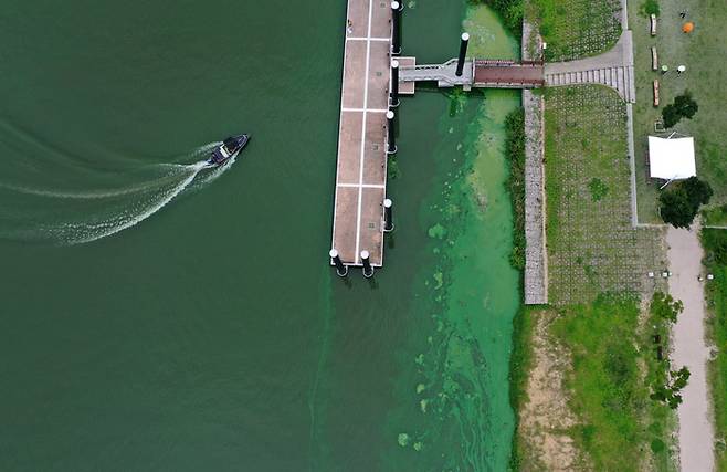 지난 11일 부산시민들의 식수 원수를 취수하는 경남 물금·매리 취수장 인근 낙동강이 녹조로 초록색을 띄고 있다. 연합뉴스.