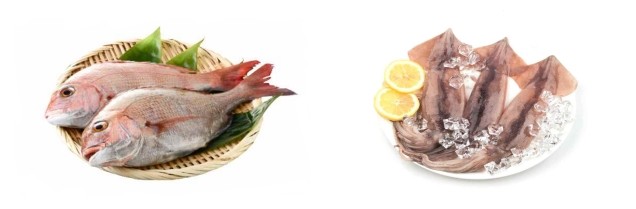 사진 왼쪽부터 참돔, 오징어 / 사진 = 해양수산부