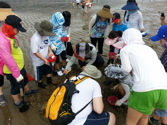 만인산푸른학습원이 운영한 ‘가족과 함께 떠나는 자연탐사단’ 참가자들이 갯벌체험을 하고 있다. 사진제공=대전시