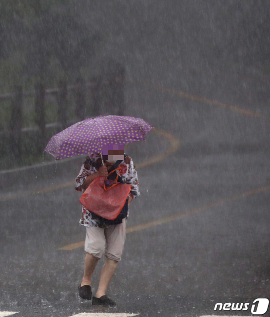 중부지역을 중심으로 많은 비가 내리며 수도권 곳곳에 호우경보가 발효된 지난 8일 오후 서울 남산에서 우산을 쓴 시민이 발걸음을  재촉하고 있다. /사진=뉴스1