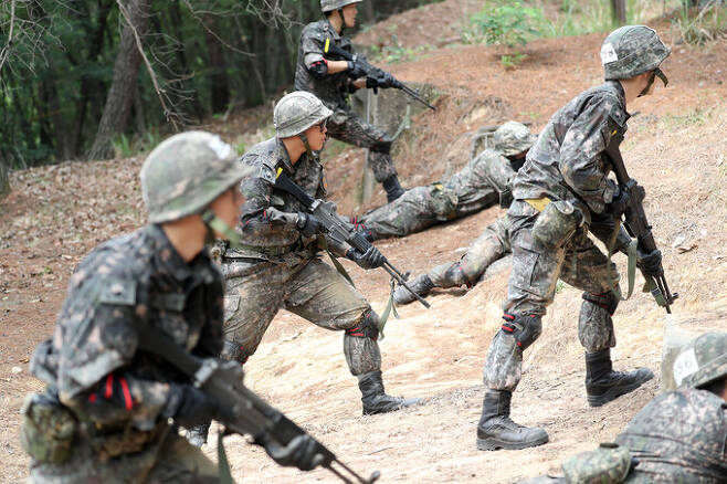 대구 육군 50사단 신병교육대대에서 훈련병들이 각개전투 훈련을 하고 있다. 세계일보 자료사진