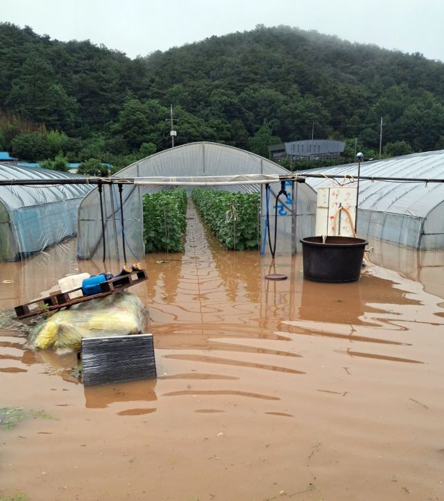 충남 청양군에서 14일 장평면 화산리의 한 비닐하우스가 물에 잠겨 있다. 연합뉴스