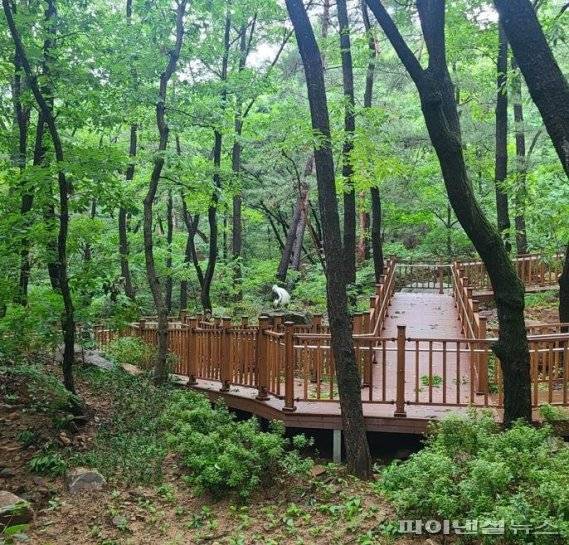 안양시 안양예술공원 내 ‘예술 탐방로’. 사진제공=안양시