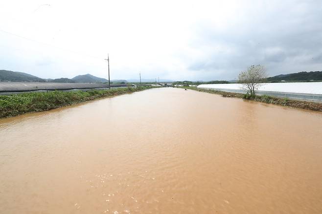 14일 오후 충남 청양군 장평면 일대 농수로가 전날 내린 폭우로 불어나 있다. 청양=연합뉴스
