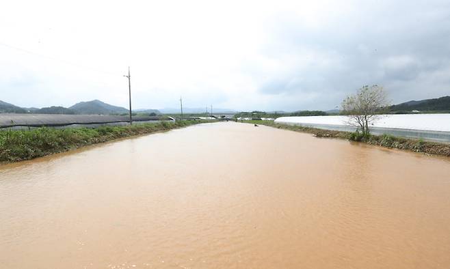 지난 14일 충남 청양군 장평면 일대 농수로가 전날 내린 폭우로 불어나 있다. 연합뉴스