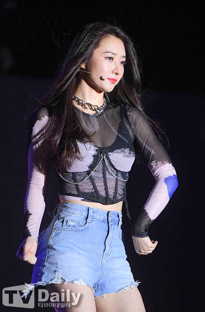 티브이데일리 포토