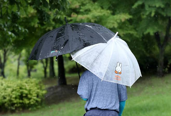 11일 오전 대전시 유성구 어은동 유성천 인근을 지나는 한 시민이 우산 2개를 들고 있다. 사진=연합뉴스