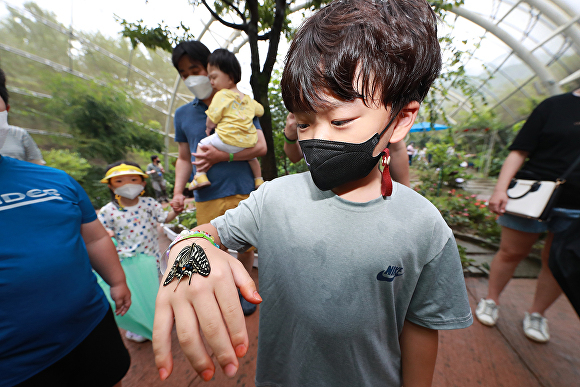 지난 15일 2022예천곤충축제에서 어린이가 손등에 앉은 나비를 관찰하고 있다. [사진=예천군]