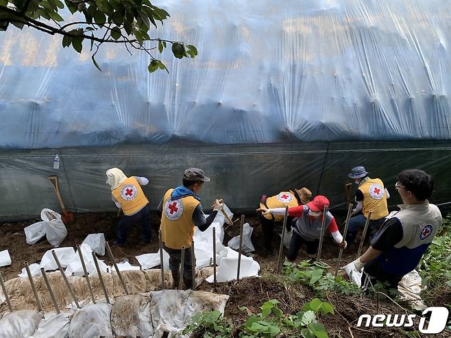 대전세종적십자 봉사자들이 17일 충남 청양 장평면 일원에서 수해복구를 하고 있다. (대전세종적십자 제공) /뉴스1
