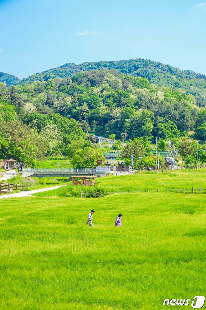 대전 대덕구가 올 상반기 사진 공모전에서 최우수상으로 선정한 '장동 만남공원'.(대전 대덕구 제공)