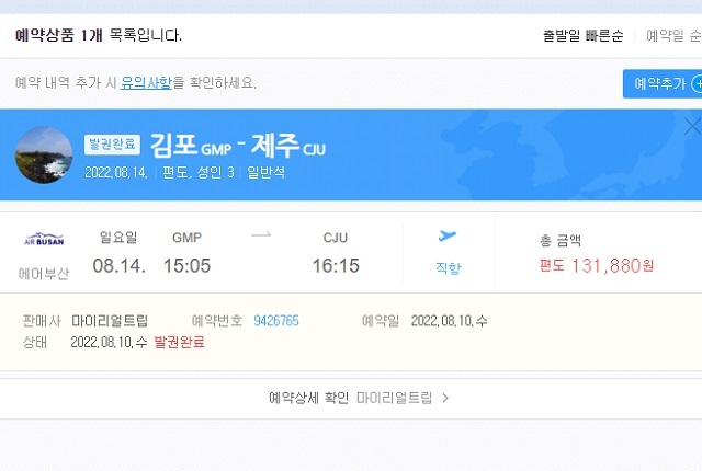 해당 비행기에 탑승했던 사람이라며 네티즌 B씨가 공개한 티켓 예매 내역. 온라인 커뮤니티 캡처