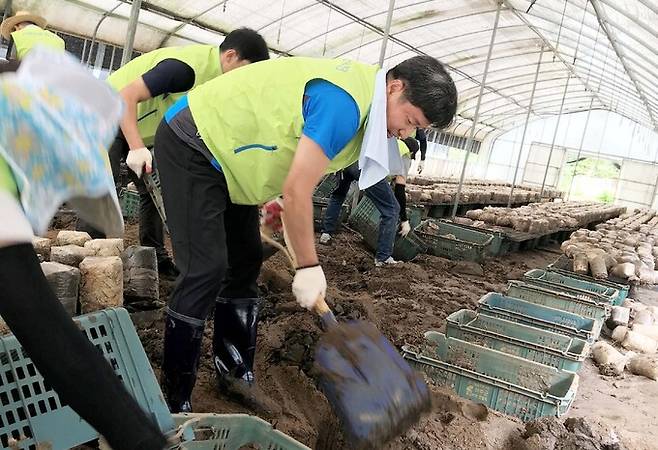 서울농협 황준구 본부장과 임직원들이 18일 여주시 농가에서 피해 농가 복구 지원을 하고 있다.