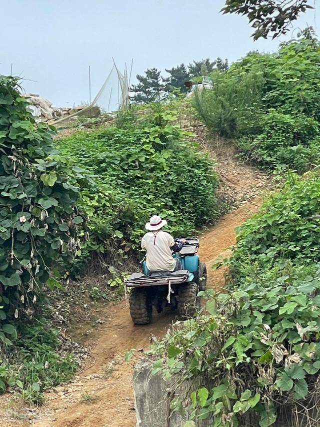 가의도에는 자동차가 없다. 대신 사발이(네 바퀴 오토바이)가 주력 교통수단으로 활약한다. 100킬로그램이 훌쩍 넘는 짐을 옮길 때 요긴하게 쓰인다.