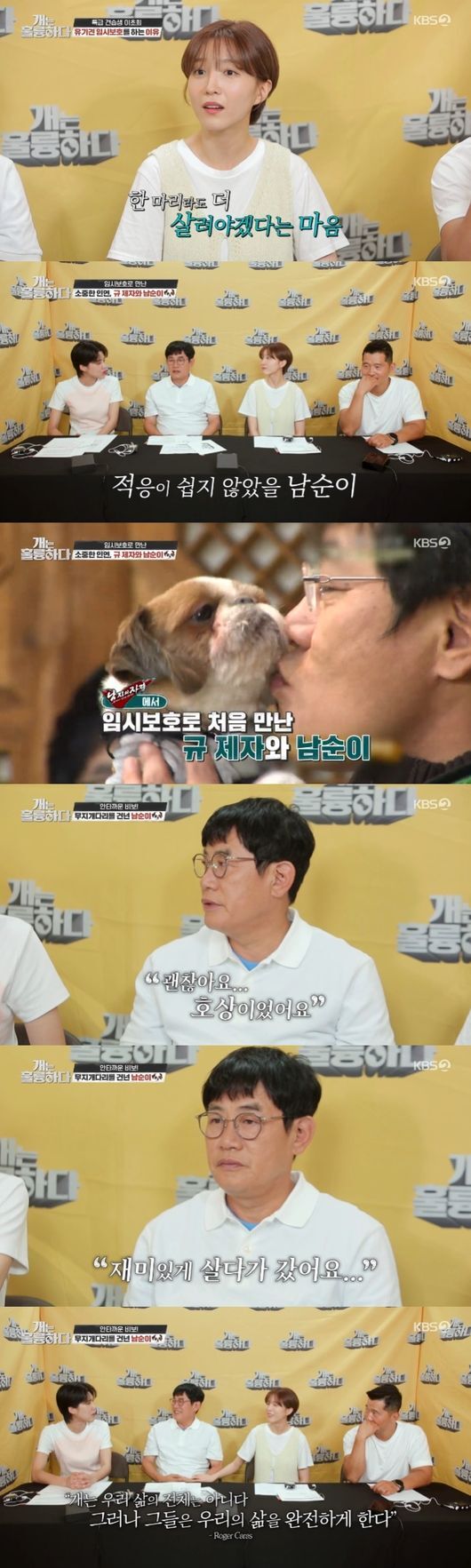 The comedian Lee Kyung-kyu told him how he had left Pet Namsuni, and it was also a pity that he could not keep his beloved family for the broadcast recording.Actor Lee Cho-hee was an apprentice at KBS2 Dogs Are Incredible broadcast on the 29th.Pete Yogo, Lee Cho-hee, who is raising Moji, is engaged in abandoned dog temporary protection.Upon hearing this, Jang Doyeon directed Lee Kyung-kyu, I think youll sympathize a lot; Namsuni also temporarily protected in mans qualification and adopted it.Namsuni also said, It would not have been easy to adapt when I first came to my house.Lee Kyung-kyu said, It was not easy; there were many other dogs, so I was always in the corner. I think it was a trauma while living an abandoned dog.In particular, Jang Doyeon attracted attention by mentioning the news of Namsuni, who died last week, saying, Namsuni crossed the rainbow bridge...Earlier, Gaohulung had previously delivered a bib of Namsuni through a pre-release video: a week ago, during the recording of Gahulung, a call came in saying that Namsuni had left the rainbow bridge.Lee Kyung-kyu, who returned from the phone, said, Namsuni went to heaven? But he was sad because he could not hide his complicated mind.After leaving Namsuni, Lee Kyung-kyu said: Its OK, because it was a hoax.I wrapped it up with love and raised it, so it goes well with the dogs and it goes well with the live ... it was fun to live ... I went. He was the main MC who had to keep the scene, so he could not keep his personal family history.The fact that he could not keep the end of his beloved family who had been together for 10 years made him feel even the hearts of those who watched.I felt the weight of The Godfather, who had to choose broadcasting rather than personal history.KBS2