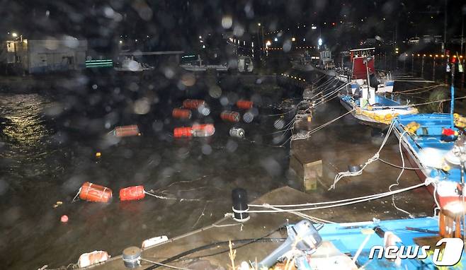 제주도가 제11호 태풍 '힌남노' 영향권에 든 5일 오후 제주시 용담 해안도로에 있는 한 항구 내항에 거센 비바람이 치고 있다.2022.9.5/뉴스1 ⓒ News1 고동명 기자