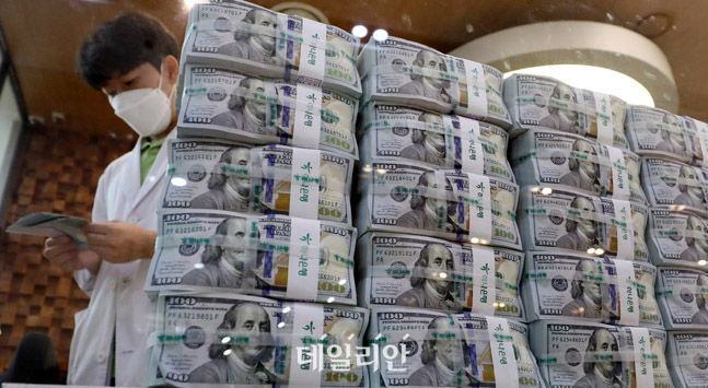 서울 중구 하나은행 위변조대응센터에서 직원이 달러를 정리하고 있다. ⓒ뉴시스
