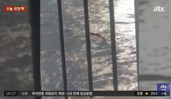 - JTBC ‘사건반장’ 캡처