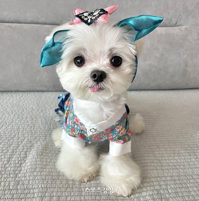 추석맞이 한복을 차려입은 박보리.