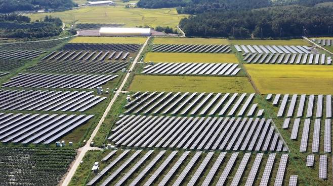전남의 한 간척지에 들어서 있는 태양광 발전기 - 본문과 직접 관련 없음. 서울신문DB