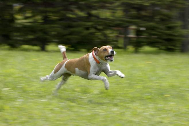 스마트이미지 제공