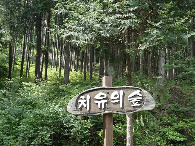 치유의 숲. 강종임 해설사 제공