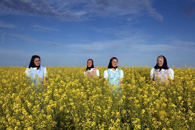 후터라이트 여성들이 유채꽃밭을에 있다. 2010년 디어보니 자치구. ⓒTim Smith