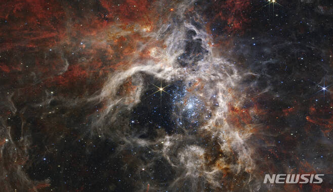 [미국=AP/뉴시스] 6일(현지시간) 미 항공우주국(NASA)가 제임스 웹 우주망원경이 촬영한 타란툴라 성운. 파란색으로 밝게 빛나는 점들은 막 탄생한 별이다. 2022.09.29.