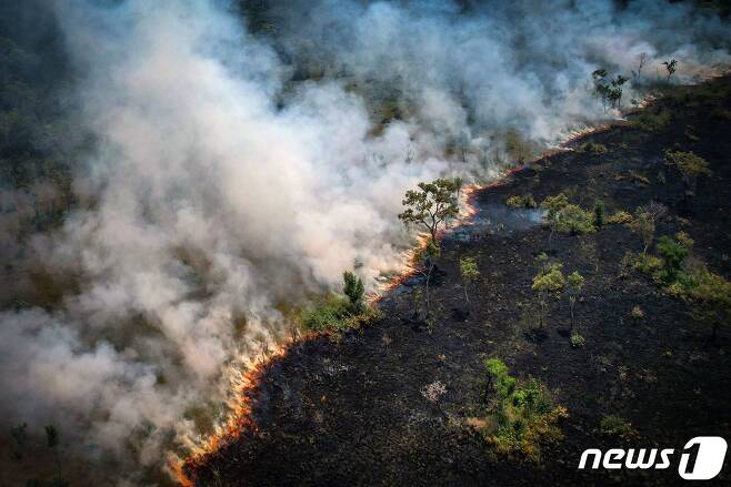 지난달 31일 (현지시간) 브라질 혼도니아주 포르투 벨류에 있는 아마존 우림에서 산불이 발생해 불길이 확산되고 있다. ⓒ AFP=뉴스1 ⓒ News1 우동명 기자