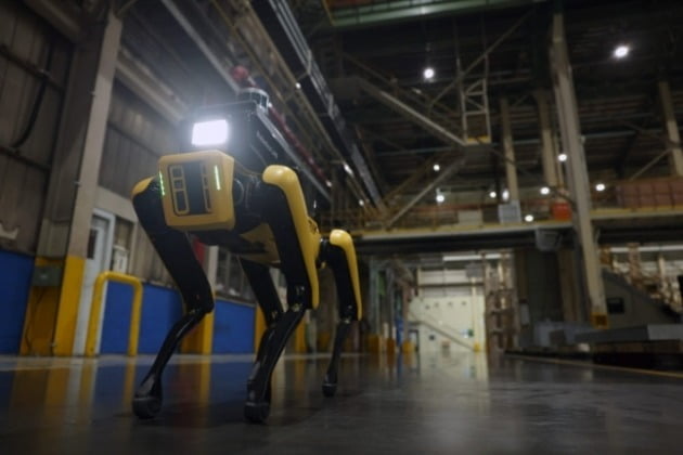 기아 광명공장인 '오토랜드 광명'을 순찰하고 있는 보스턴다이내믹스의 4족보행 로봇 개 '스팟'. 사진=현대차그룹 제공