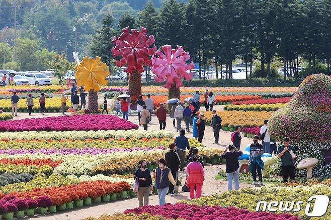 인제가을꽃축제 찾은 나들이객들.(인제군 제공)/뉴스1