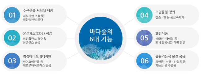 바다 숲의 6대 기능. 출처=한국수산자원관리공단