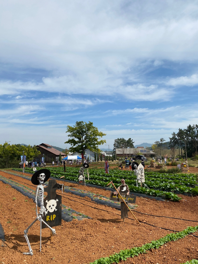 상하농원이 진행하는 ‘미스터리 할로윈’ 프로그램에 맞춰 농원 안에 해골이 설치돼 있다. 사진 제공=상하농원