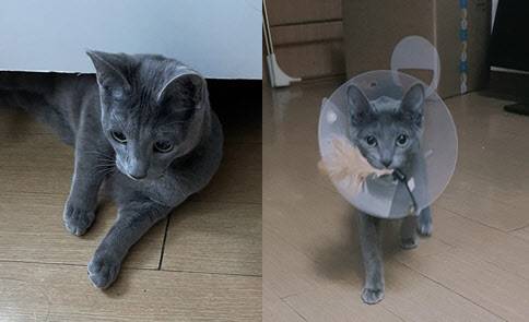 (사진=독자제공)