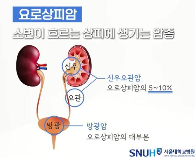 서울대병원 제공