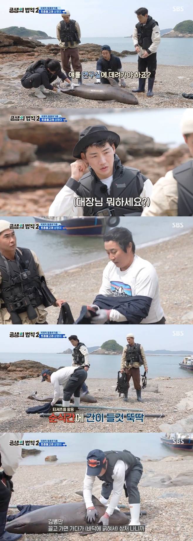 SBS 공생의 법칙