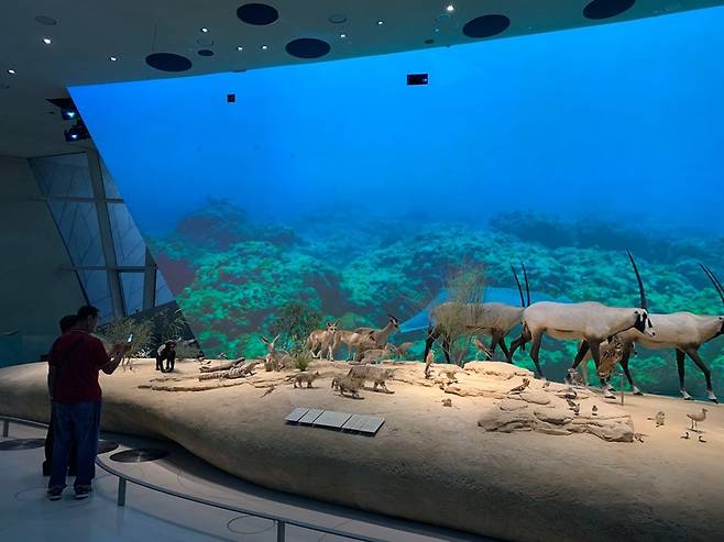 카타르 대표 박물관 모습은 (도하=연합뉴스) 김예나 기자 = 지난 23일(현지시간) 찾은 카타르 국립박물관에서 관람객들이 전시를 보고 있다. 2022.10.27
yes@yna.co.kr