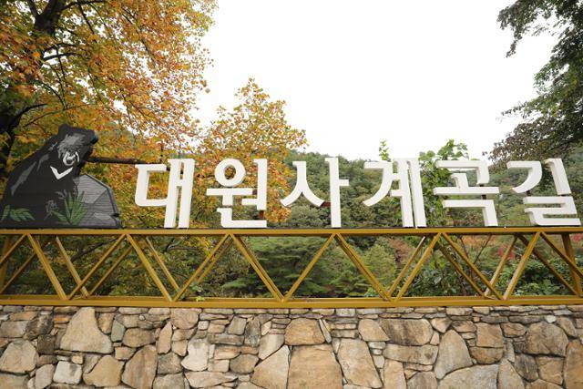 종주의 마지막 구간인 대원사 계곡에서는 시원한 물소리를 들으며 내려온다. ⓒ박준규